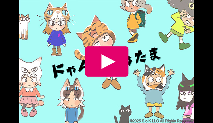 Video Image: Kitten head